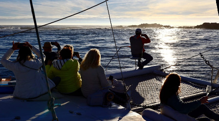 Maximillien Sailing Yacht